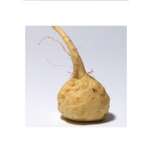 Maca